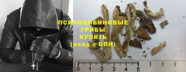 соль курить ск Белокуриха