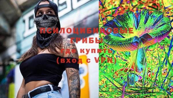 соль курить ск Белокуриха