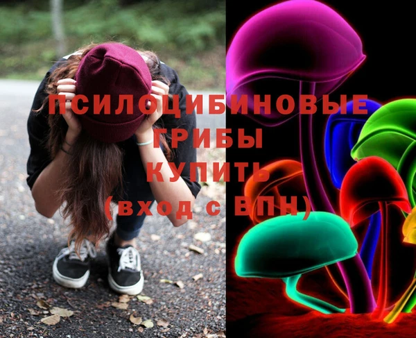 соль курить ск Белокуриха