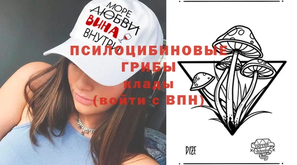 соль курить ск Белокуриха