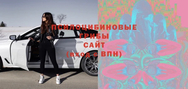 соль курить ск Белокуриха